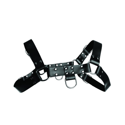 English Bull Dog Harness