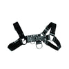 English Bull Dog Harness