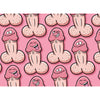 Gift Wrap Willy Pecker 2 Sheets