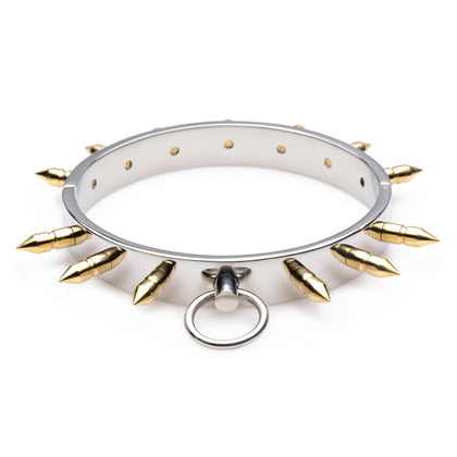 Stainless Steel Spiked Collar