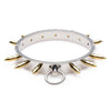 Stainless Steel Spiked Collar