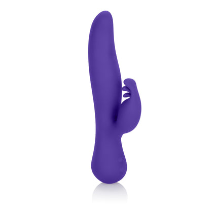 Vanity Vs19 - Purple